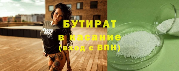 PSILOCYBIN Алзамай