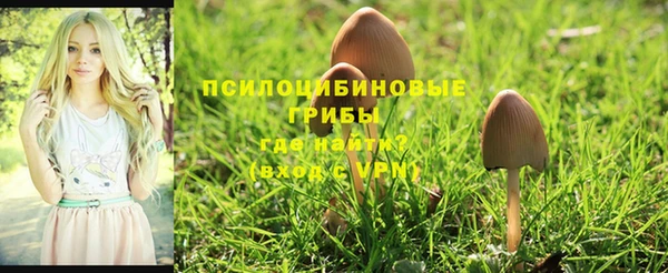 MESCALINE Алексин