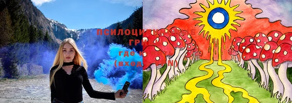 PSILOCYBIN Алзамай