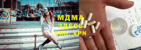 PSILOCYBIN Алзамай