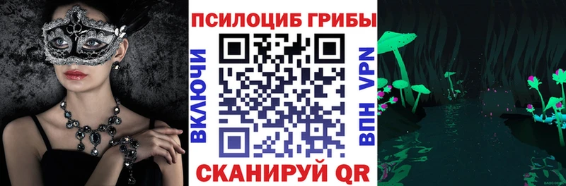 Галлюциногенные грибы Psilocybine cubensis  как найти закладки  Куйбышев 